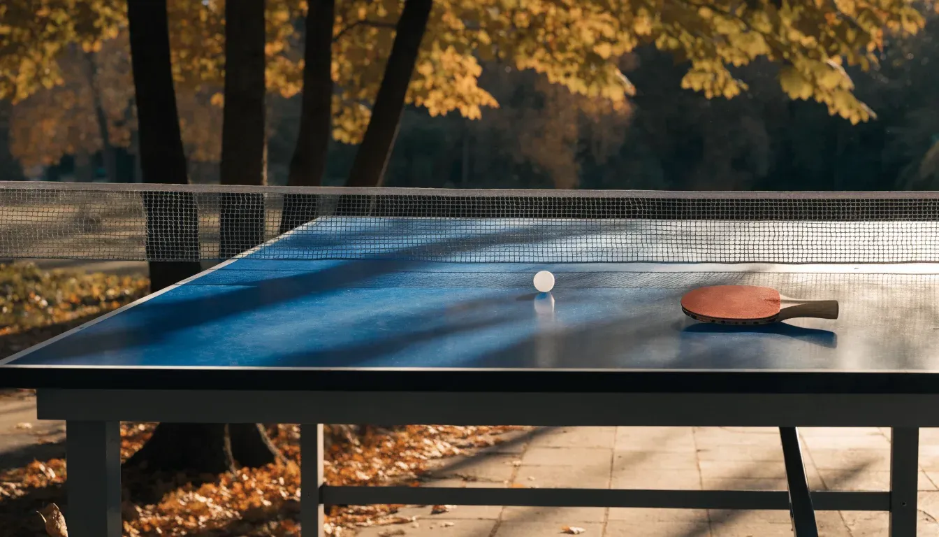 Eine Tischtennisplatte im Freien unter Bäumen, Herbstlaub liegt auf der Platte, das Licht fällt schräg durch die Äste